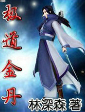 极道金丹